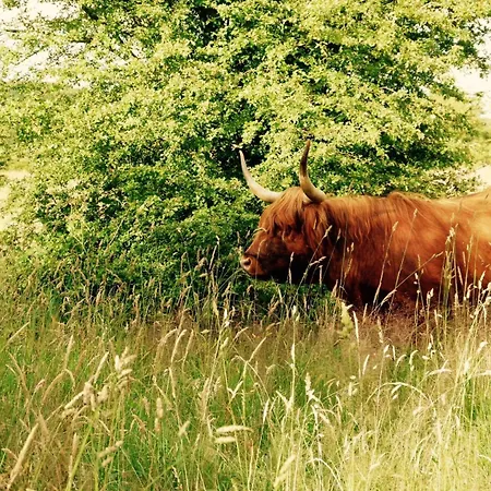 Gut Hardesby - Grosszuegig Mit Kamin & Tollem Garten Sörup